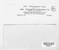 Image Associated With the Occurence